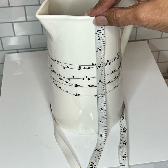 NEW Ciroa Oiseau 48oz Pitcher - Picture 5 of 6